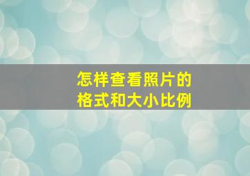 怎样查看照片的格式和大小比例