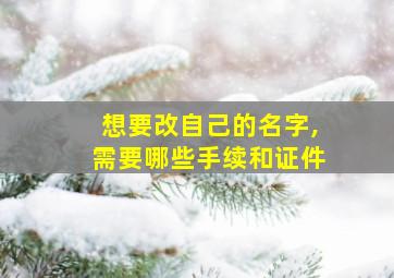 想要改自己的名字,需要哪些手续和证件