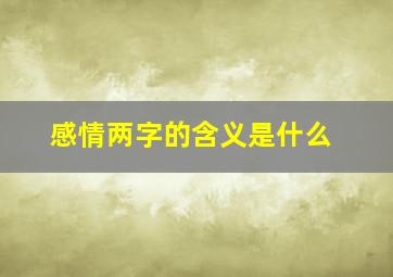 感情两字的含义是什么