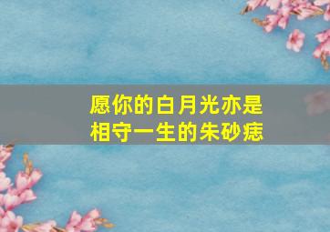 愿你的白月光亦是相守一生的朱砂痣