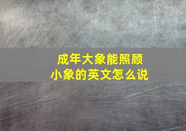 成年大象能照顾小象的英文怎么说