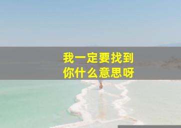 我一定要找到你什么意思呀