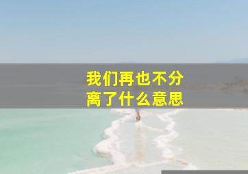 我们再也不分离了什么意思