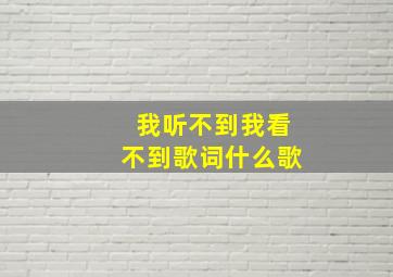 我听不到我看不到歌词什么歌