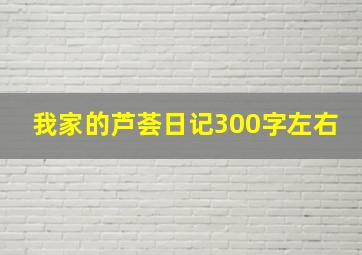 我家的芦荟日记300字左右