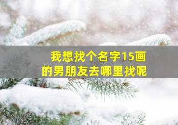 我想找个名字15画的男朋友去哪里找呢