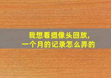 我想看摄像头回放,一个月的记录怎么弄的