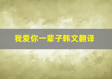 我爱你一辈子韩文翻译