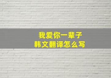 我爱你一辈子韩文翻译怎么写