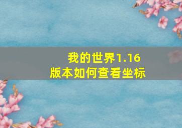 我的世界1.16版本如何查看坐标