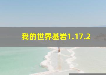 我的世界基岩1.17.2