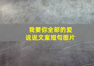 我要你全部的爱说说文案短句图片