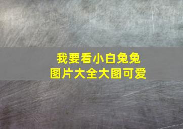 我要看小白兔兔图片大全大图可爱