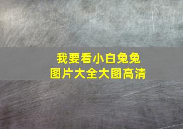 我要看小白兔兔图片大全大图高清