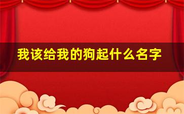 我该给我的狗起什么名字