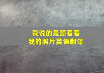 我说的是想看看我的照片英语翻译