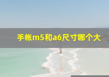 手帐m5和a6尺寸哪个大