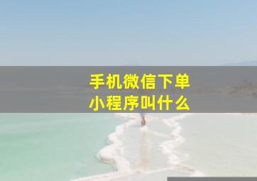 手机微信下单小程序叫什么