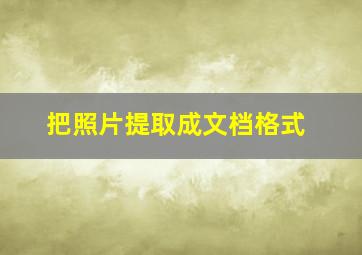 把照片提取成文档格式