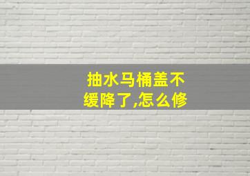 抽水马桶盖不缓降了,怎么修