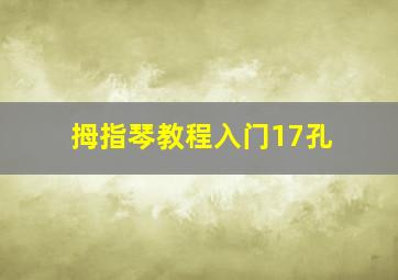 拇指琴教程入门17孔