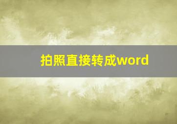 拍照直接转成word