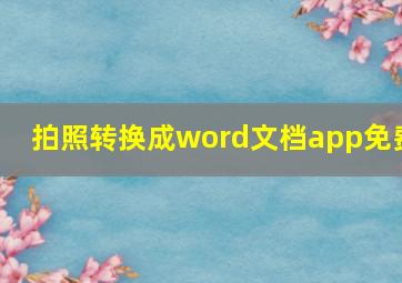 拍照转换成word文档app免费