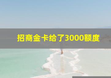 招商金卡给了3000额度