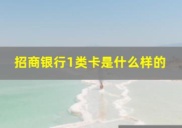 招商银行1类卡是什么样的