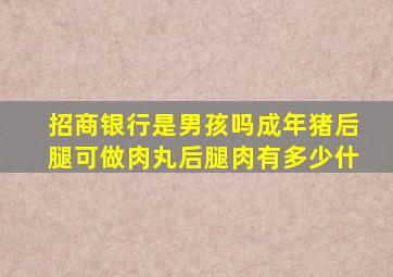 招商银行是男孩吗成年猪后腿可做肉丸后腿肉有多少什