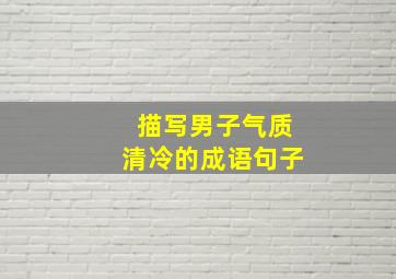 描写男子气质清冷的成语句子