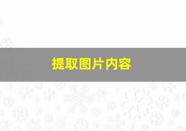 提取图片内容