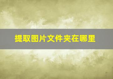 提取图片文件夹在哪里