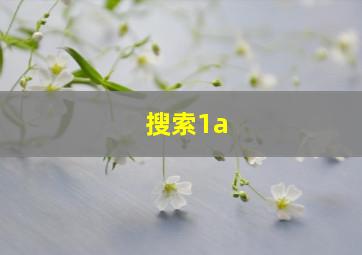 搜索1a