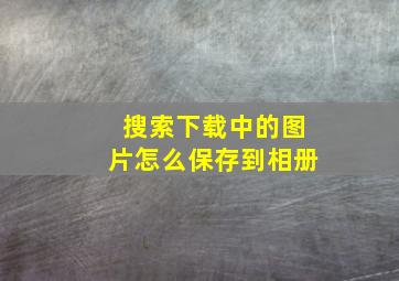 搜索下载中的图片怎么保存到相册