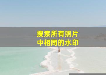 搜索所有照片中相同的水印