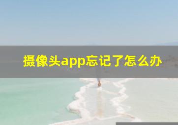 摄像头app忘记了怎么办