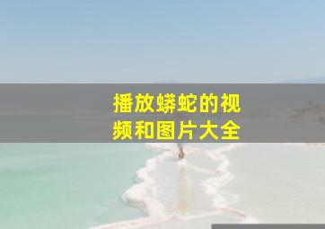 播放蟒蛇的视频和图片大全