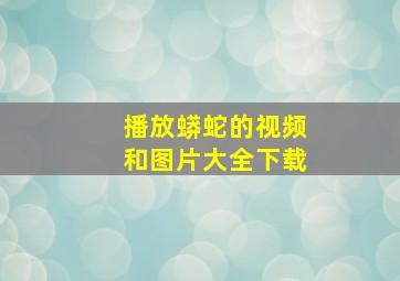 播放蟒蛇的视频和图片大全下载