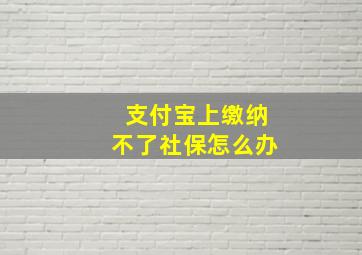 支付宝上缴纳不了社保怎么办