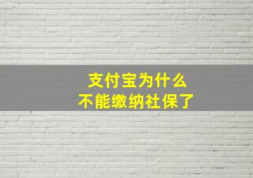 支付宝为什么不能缴纳社保了