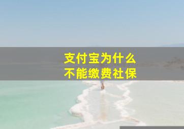 支付宝为什么不能缴费社保