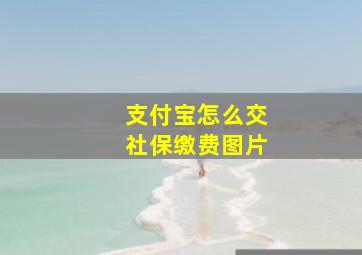 支付宝怎么交社保缴费图片