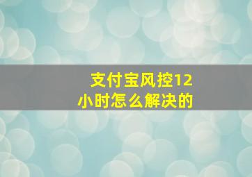 支付宝风控12小时怎么解决的