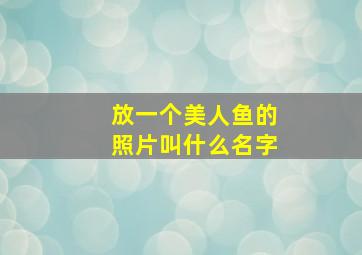 放一个美人鱼的照片叫什么名字