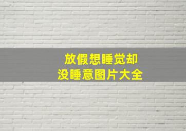 放假想睡觉却没睡意图片大全