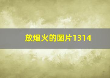 放烟火的图片1314