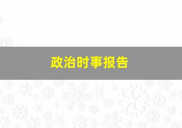 政治时事报告