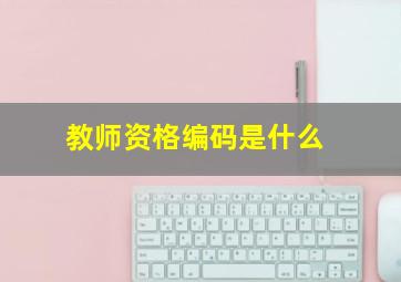 教师资格编码是什么