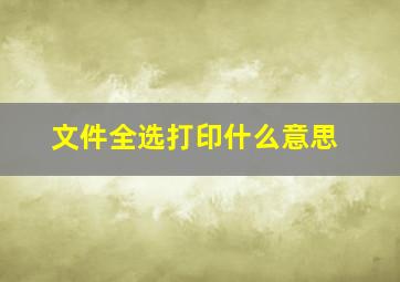 文件全选打印什么意思